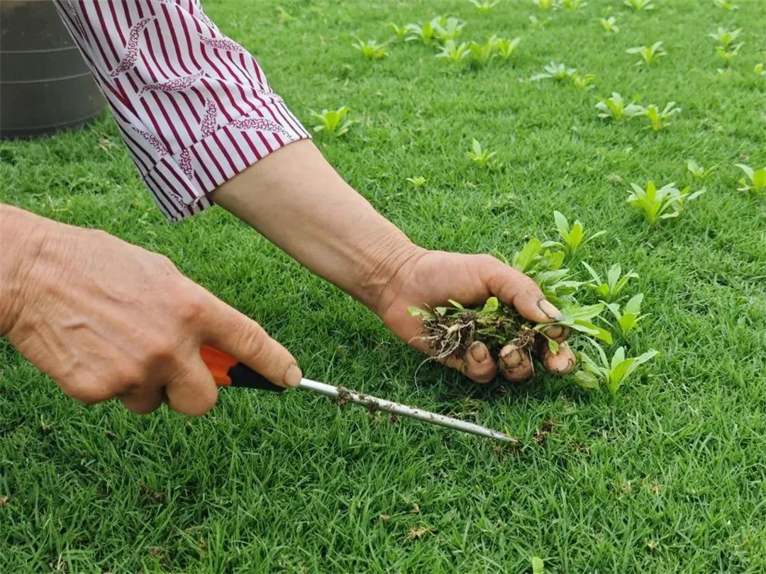 萬豪集團(tuán)匠心助力，6月齊聚重慶龍興足球場為國足吶喊助威！
