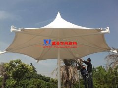 膜結(jié)構(gòu)形態(tài)有哪幾種？分別有哪些特點(diǎn)特征？